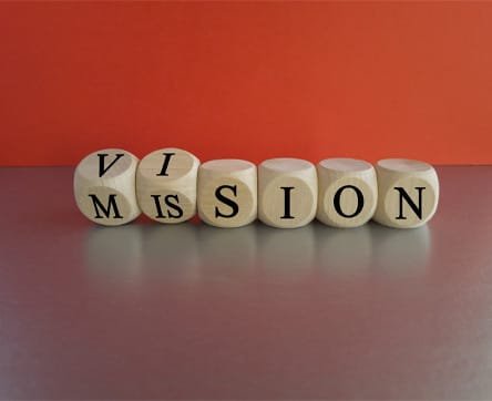 vision