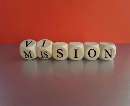 vision